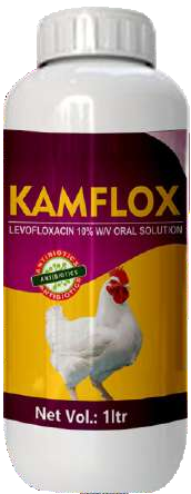 Kamflox