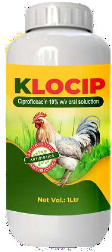 Klocip