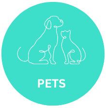 Pets